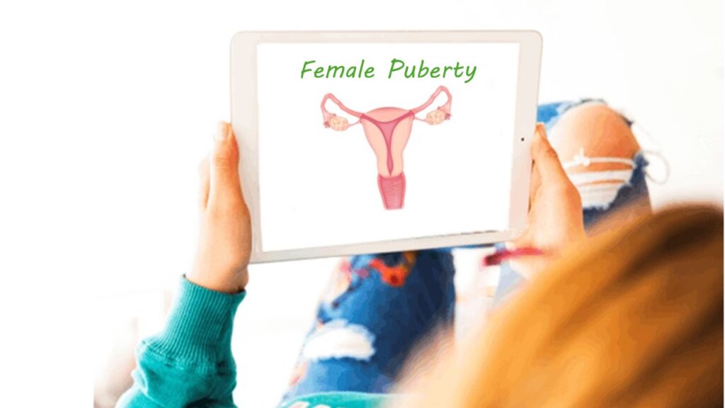 Female Puberty