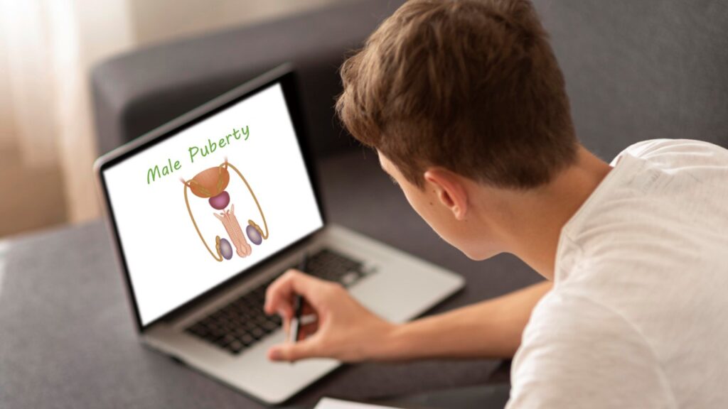 Male Puberty