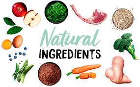 Introduction to Holistic Health